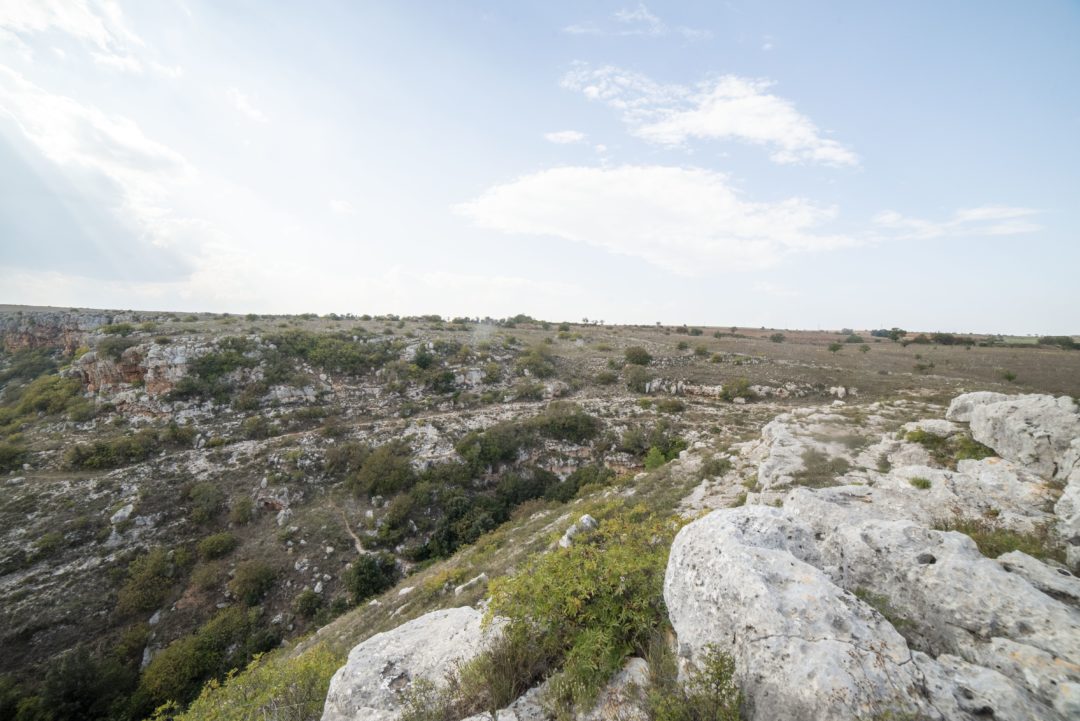 Toritto Pulo